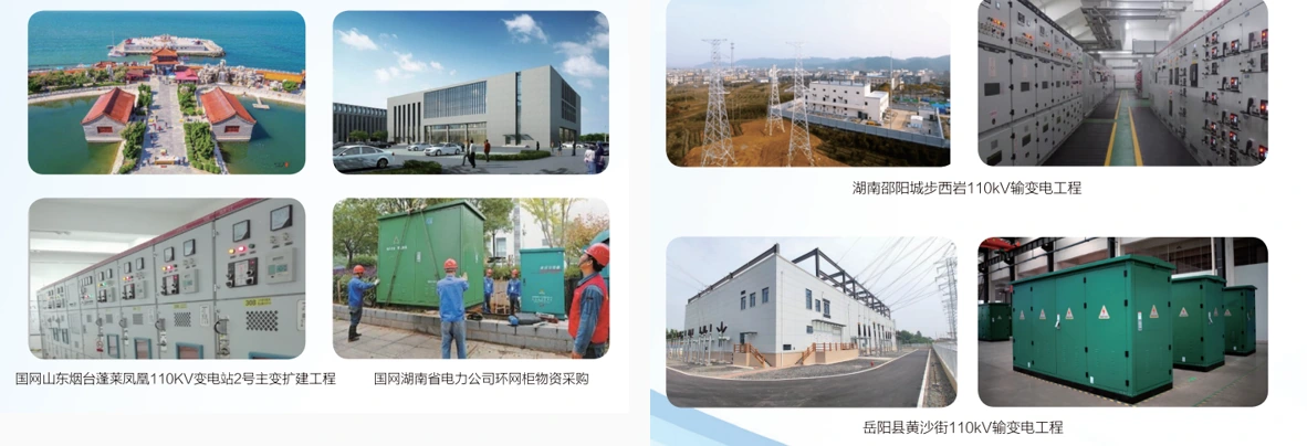 State Grid Projects